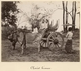 Karren, gezogen von zwei Ochsen in Mandalay, Burma, ca. 1885